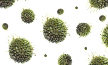 ¿Quieres saber más sobre el Coronavirus 2019-nCoV?